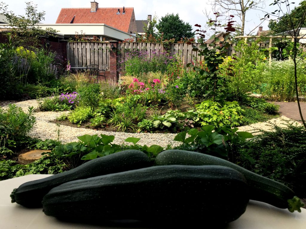 tuinontwerp laten maken